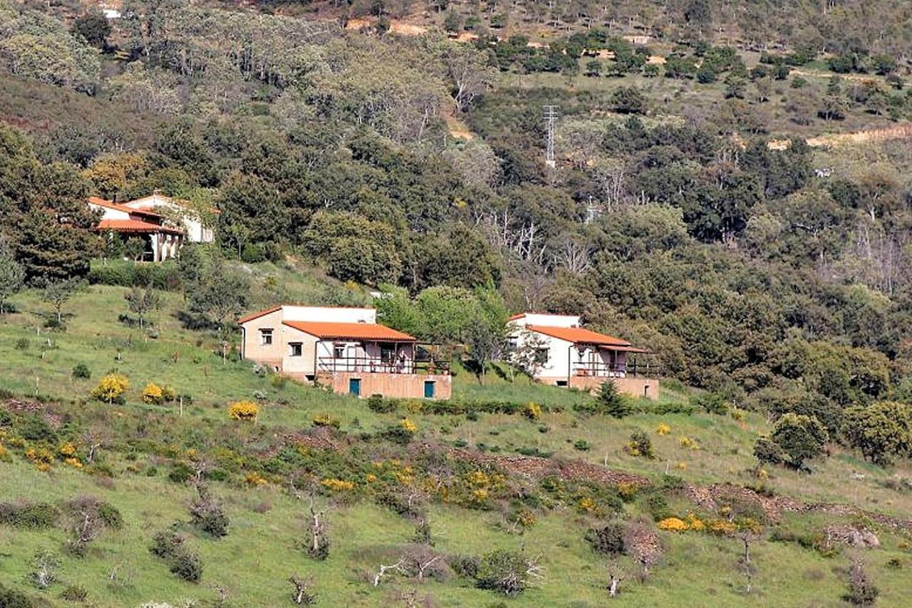 Апартаменты Cielo Abierto Берсокана Экстерьер фото